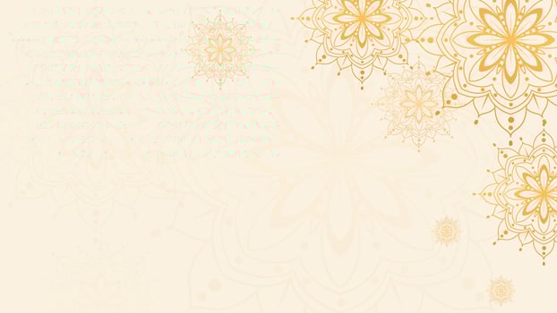 elegant background with mandala vector