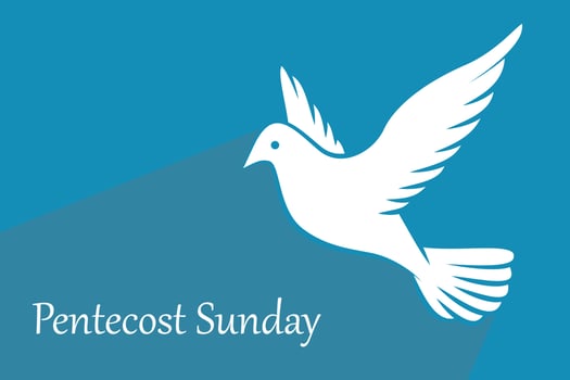 Pentecost Sunday background with flying dove vector