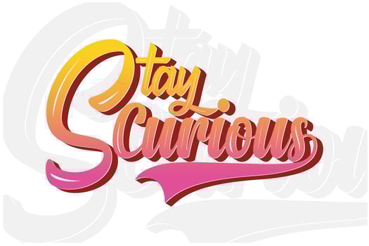 Stay curious modern motivational typography t shirt vector