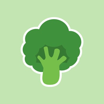broccoli vegetable fresh farm healthy food. Broccoli cabbage icon set. Flat icon collection of vegetable broccoli. Fresh green Vegetable, Vegetarian, vegan Healthy organic food. vector