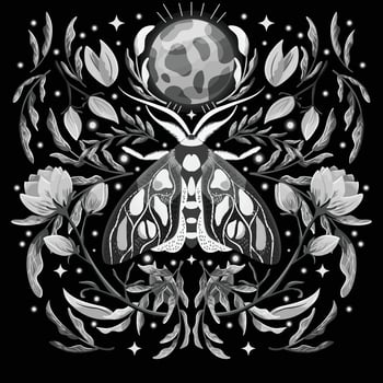 Moth and floral motifs, pattern design in symmetry. Monochrome black and white flat vector illustration with moth, flowers, floral elements and stars.