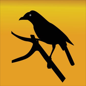 Silhouettes of cute birds, twilight - beautiful bird silhouette images. vector