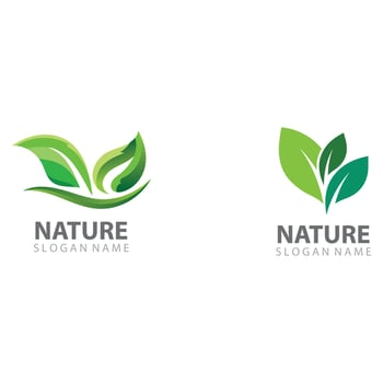 Leaf Nature Logo Design Template Vector
