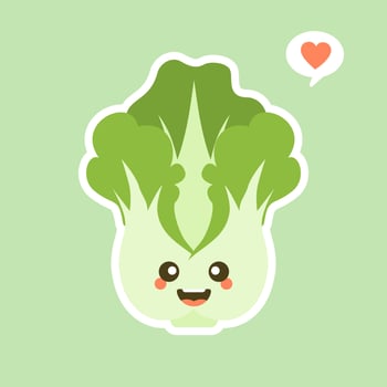 cute and kawaii Chinese cabbage character . Vegetables. Natural food, vegetarian, vegan and healthy nutrition. Flat vector illustration on a color background.
