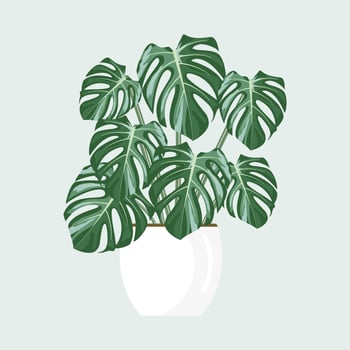 Monstera on pot vector design.