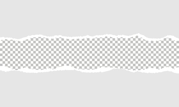 Torn paper vector background template