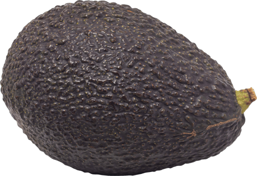Avocado on isolated transparency background.Fruit object png