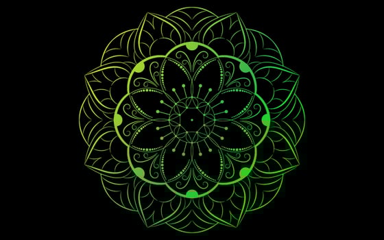 Mandala floral pattern, Vintage decorative elements vector