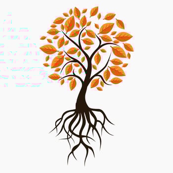 Editable Vector Art Illustration of a Tree on Autumn Season for Decorative Element