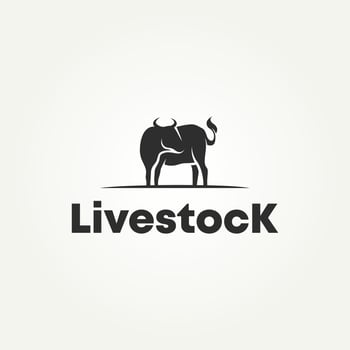 silhouette cattle angus cow livestock logo design vector