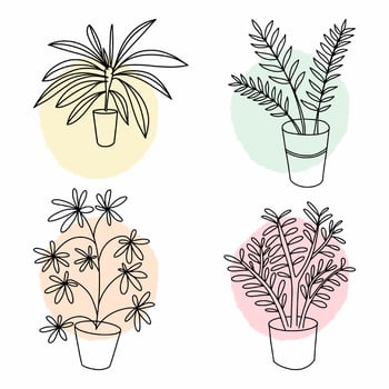 Vector sketch of a house plant. Drawing by hand