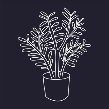 Vector sketch of a house plant. Drawing by hand