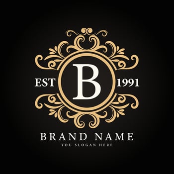 Elegant vintage logo frame decorative concept  design vector