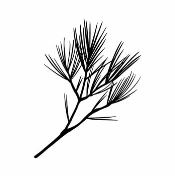 The branch of the Christmas tree is hand-drawn. Doodles vector