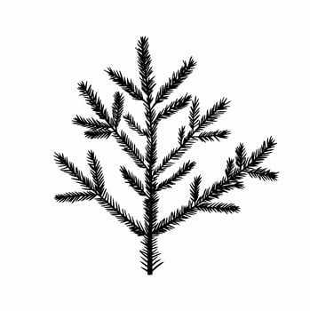 The branch of the Christmas tree is hand-drawn. Doodles vector