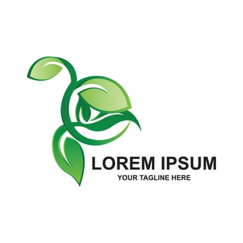 premium quality green leaf plant logo vector symbol