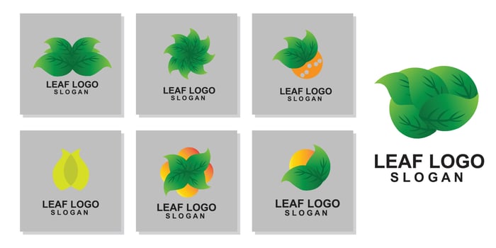 premium quality green leaf plant logo vector symbol