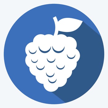 Icon Raspberry. suitable for Fruits and Vegetables symbol. long shadow style. simple design editable. design template vector. simple symbol illustration vector