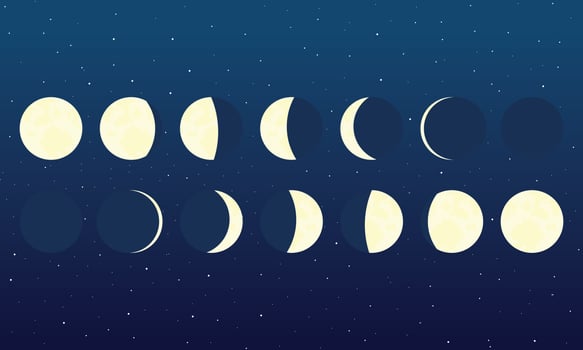 Phases of the moon illustration vector