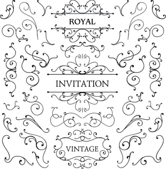 Set of calligraphic floral design elements and page decoration, swirl vintage collection. Vector illustration.