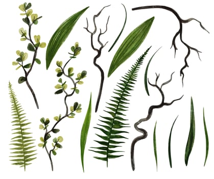 Dark green watercolor greenery collection with curly willow branches, hand drawn vector illustration.