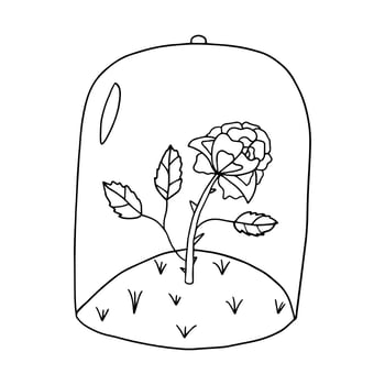 Cartoon doodle linear rose, flower under a glass jar isolated on white background. vector