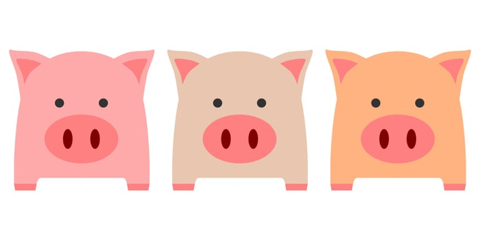 Three pink brown and orange fat cute pig or piglet on white background cartoon character flat vector design.