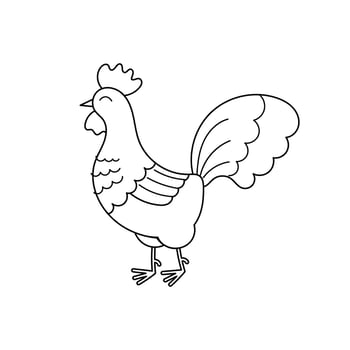 Cute contour doodle rooster. Farm animals and birds.Illustration for childrens coloring book. Vector isolated on white background