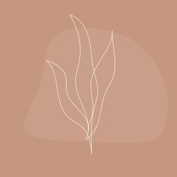 Plant line artwork  illustration. Contemporary lineart plant pattern for design for design modern card, invitation, poster, t-shirt print etc vector