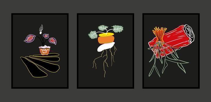 Set of three wall art with ornamental plants illustration vector