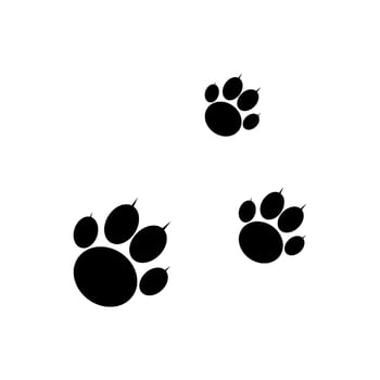 Dog and cat paw footprint vector icon