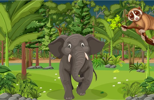 Forest scene with an elephant and loris vector