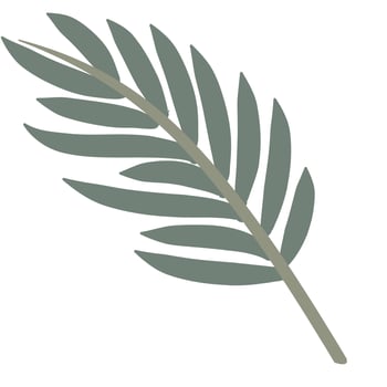 Tropical leaves vector for Areca palm leaf