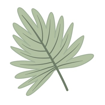 Tropical leaves vector for fan palm leaf