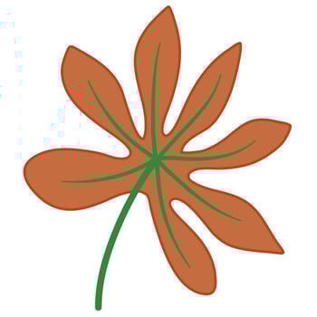 Tropical leaves vector for japnaese aralia leaf