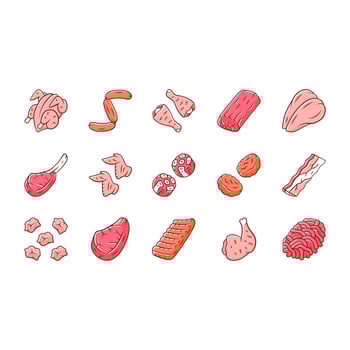 Butchers meat color icons set. Chicken drumsticks, breast and ham. Bacon, burger patties, steaks, oxtails. Butchery business. Meat production and sale. Protein sources. Isolated vector illustrations