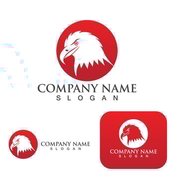 Eagle Bird  Logo Template vector