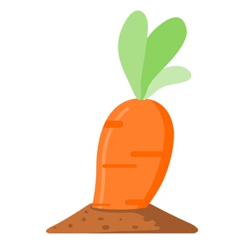 Carrot vegetable growing on soil flat vector design.