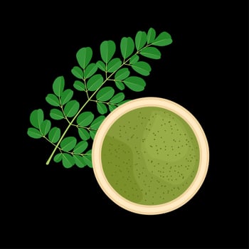 Moringa leaf powder or Moringa oleifera, with fresh green leaves, isolated on a dark background, vector illustration.