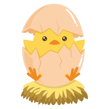 Little Chick Hatching Out The Egg vector