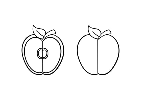 hand drawn illustration of an apple vector