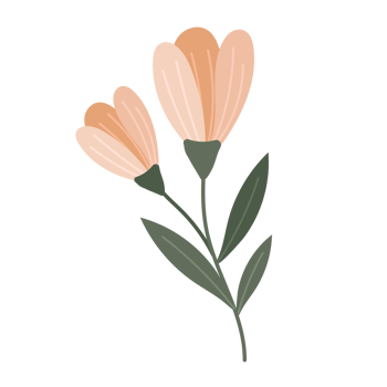 flower cartoon in flat style png