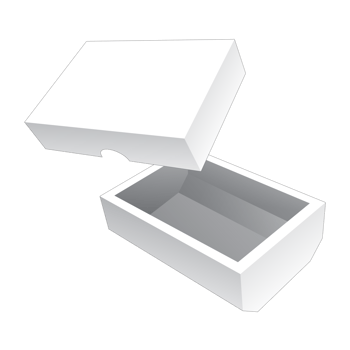 3D packaging box mockup png