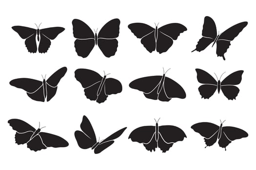 hand drawn silhouette of butterflies vector