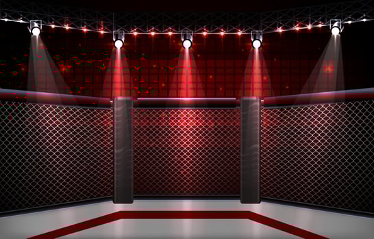 MMA Arena Stage Background vector