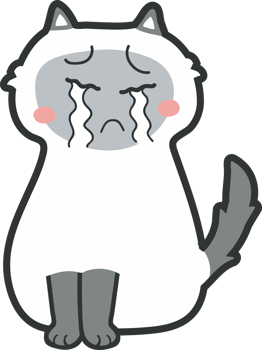 cute cat cartoon. kitty pet png