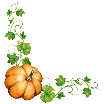 Corner curb, edge. Pumpkin branch with leaves on a transparent background, watercolor png