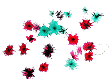 Silver berry micrograph transparent PNG