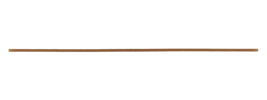 Spaghetti Italian pasta transparent PNG