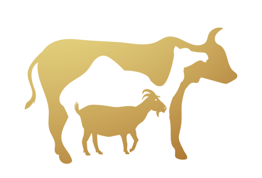Creative Banner Cow, Camel and Goat, Eid Al Adha Mubarak png